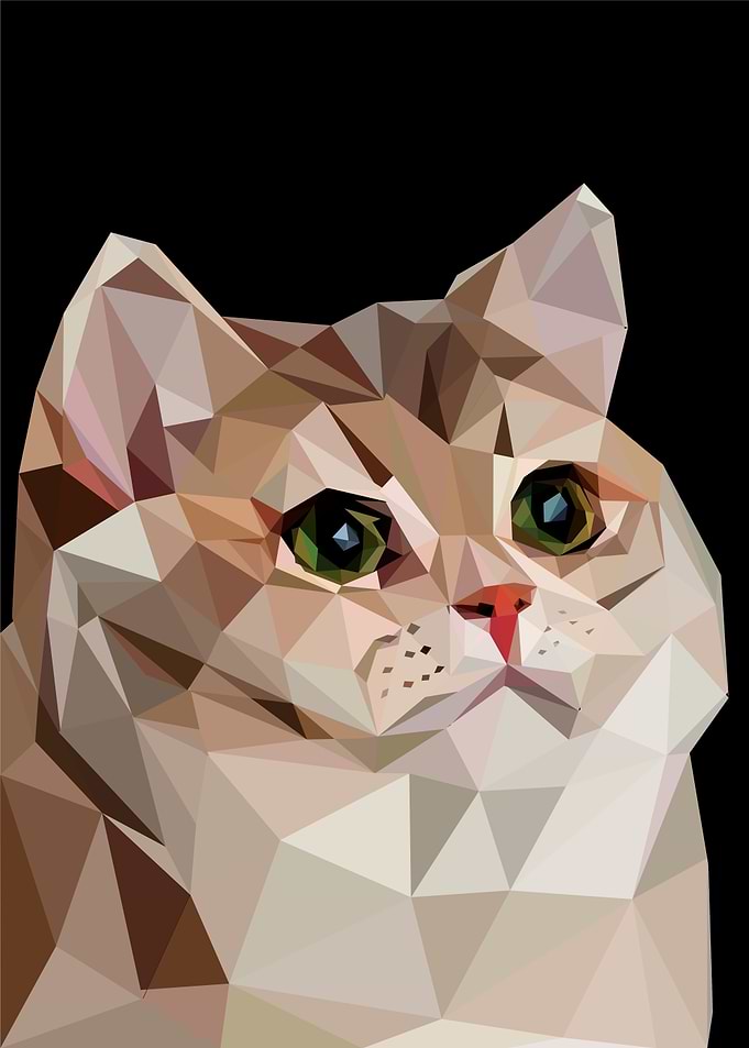 heavy breathing cat