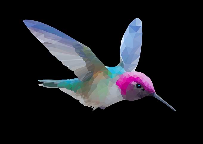 Hummingbird