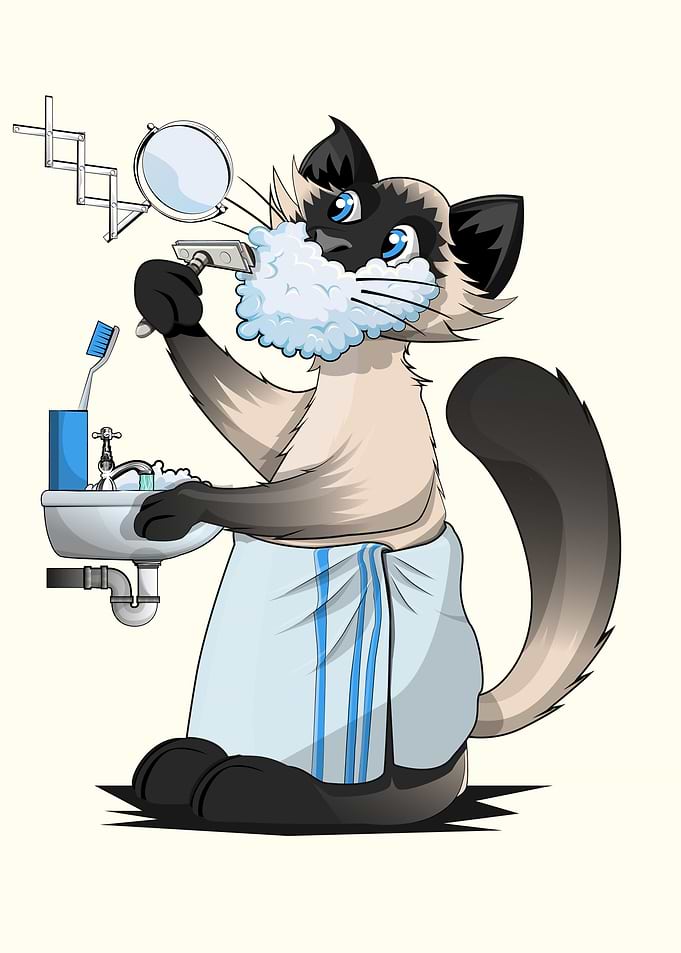 Cat shaving in bathroom
