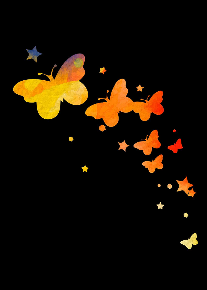 Butterfly Animal