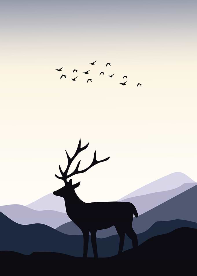 Deer Animal