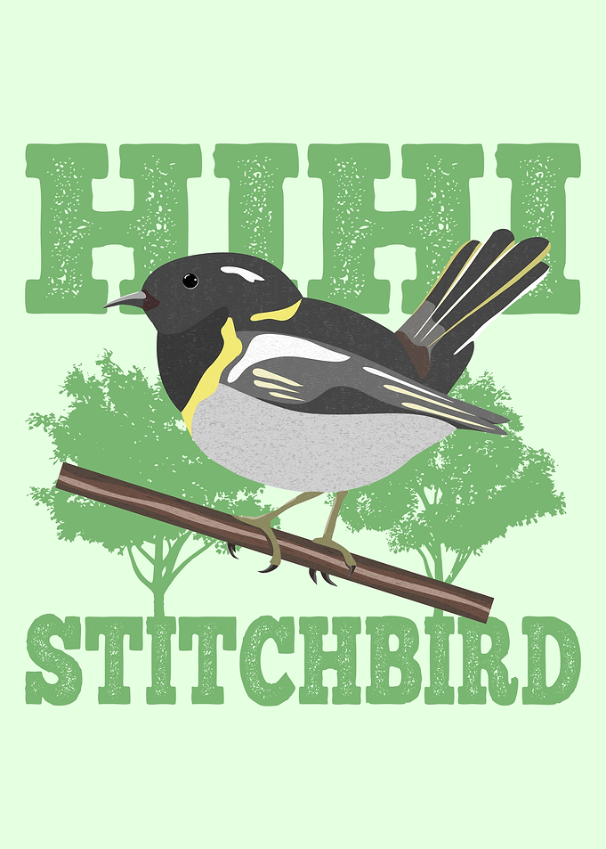 Hihi Stitchbird