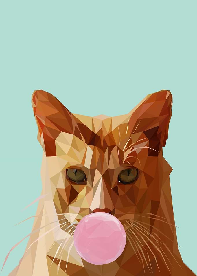 cat bubble gum animal