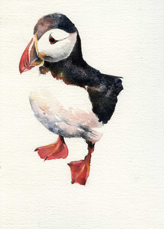 Puffin Iceland Artwork