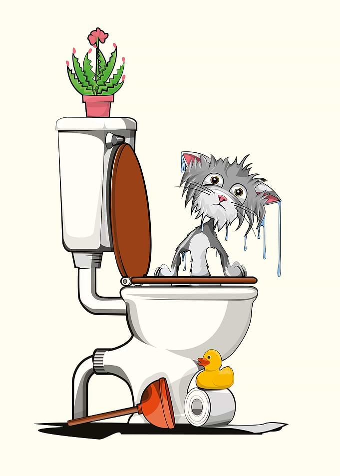 Kitten fallen in Toilet