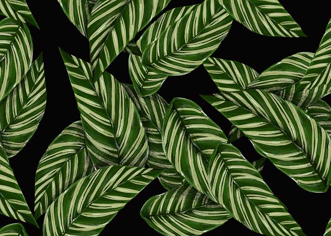 green tropical