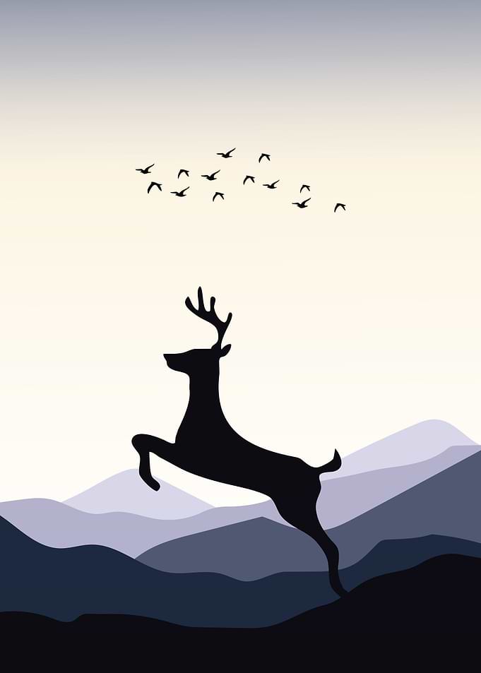Deer Animal