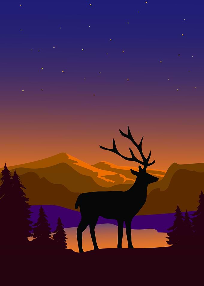 Deer Animal