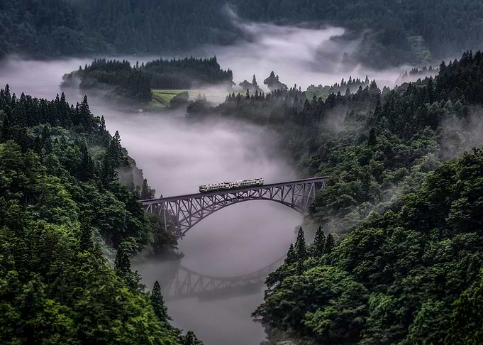 Train in Natural Crossing
