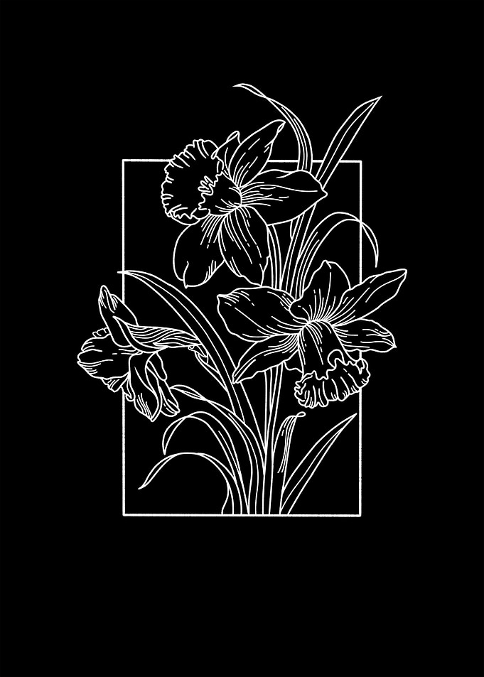 aesthetic flower