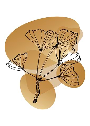 Ginkgo