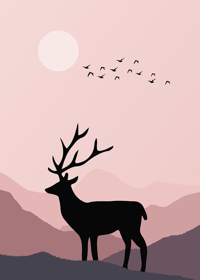 Deer Animal