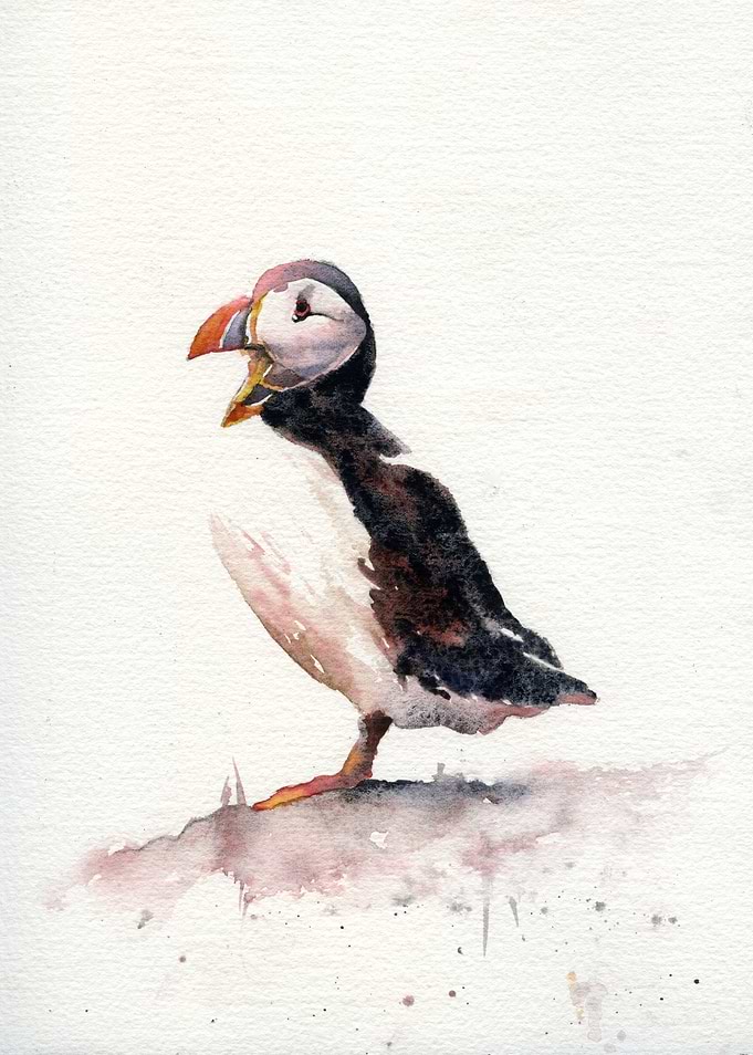 Puffin Iceland Artwork