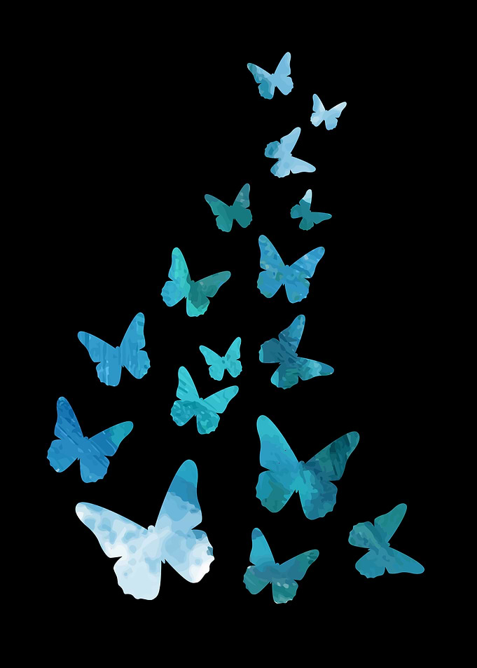 Butterfly Animal