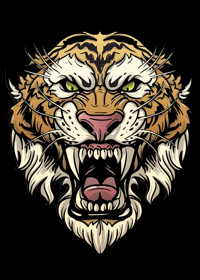 Tiger sketch