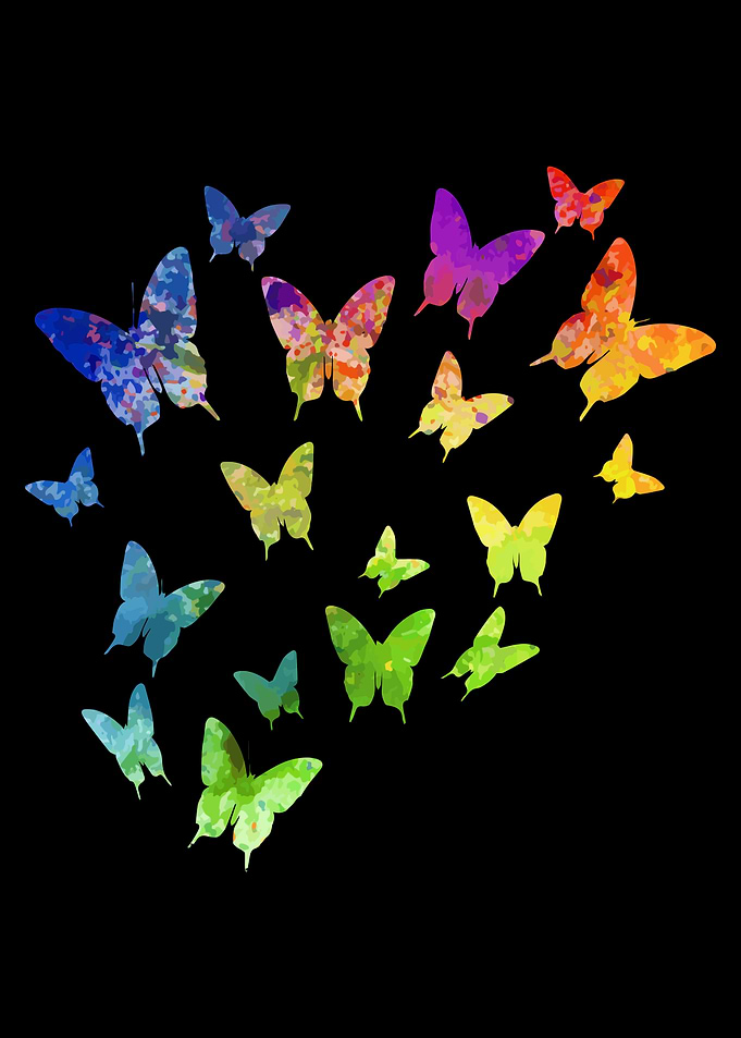 Butterfly Animal