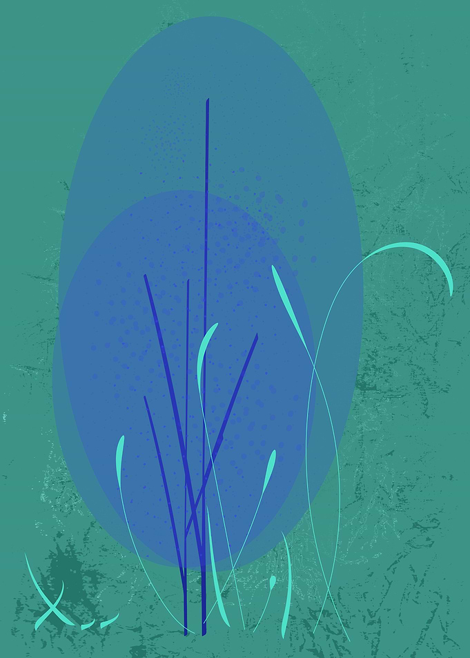 Blue trees