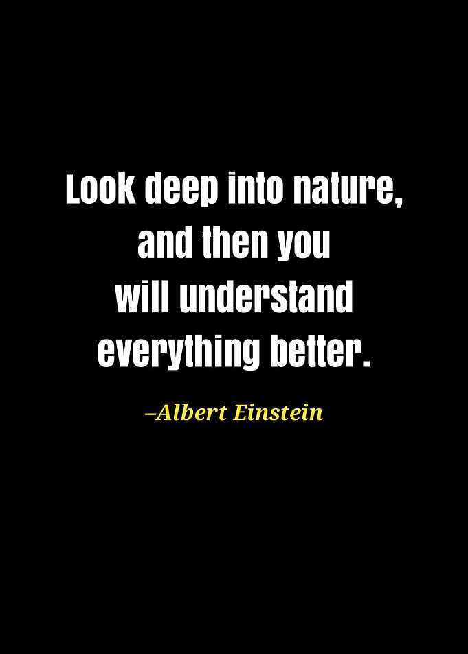 Albert Einstein quote