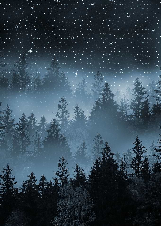 Blue Forest Galaxy Dream 1