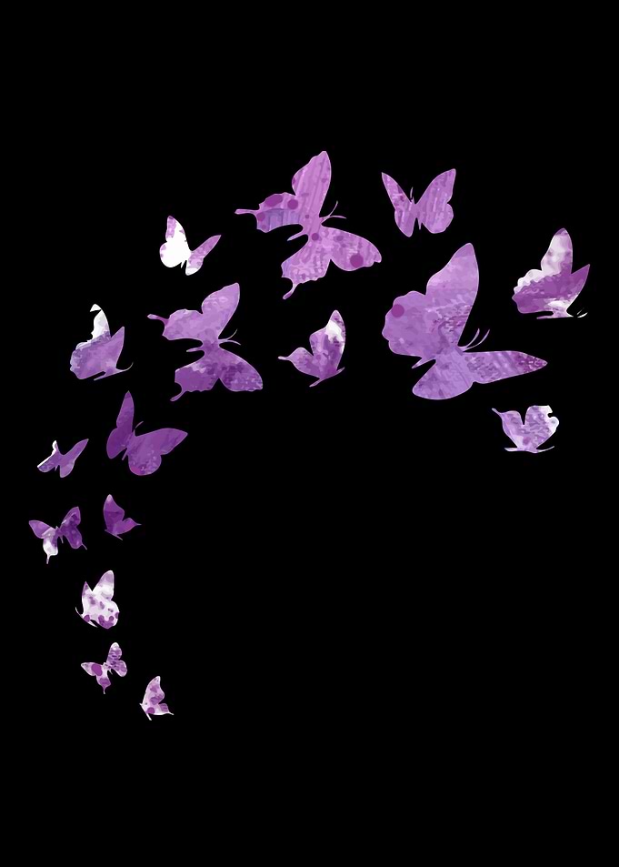 Butterfly Animal