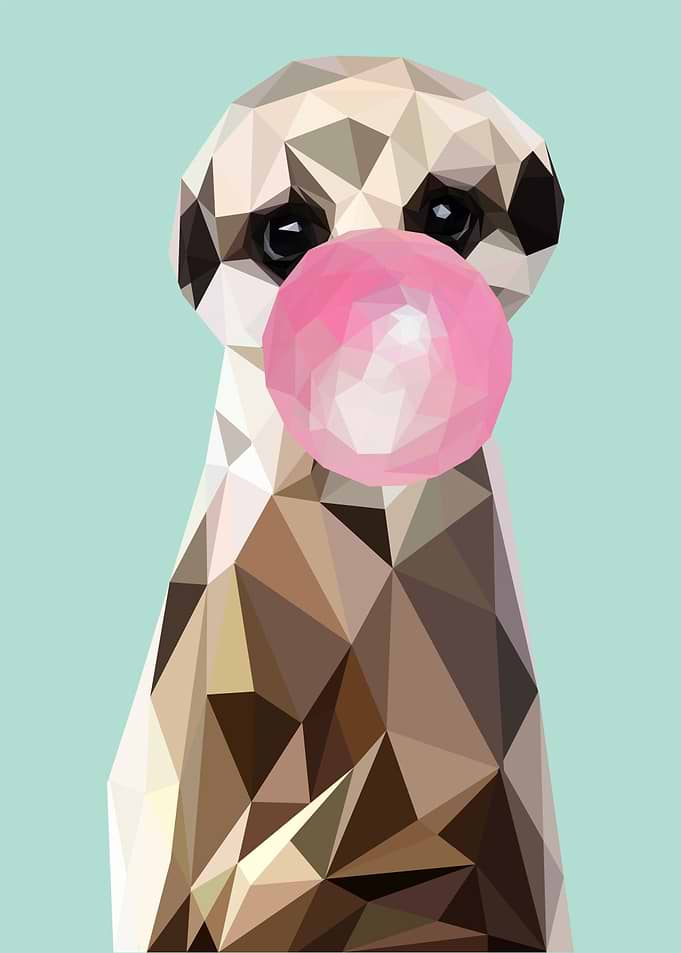 merkaat bubble gum animal