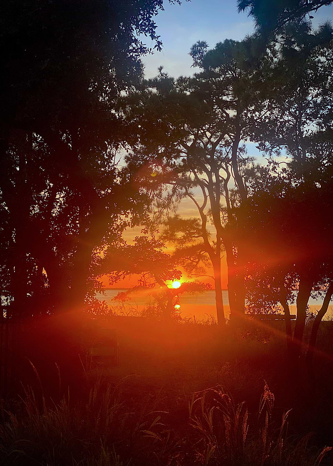 Ray of Sun