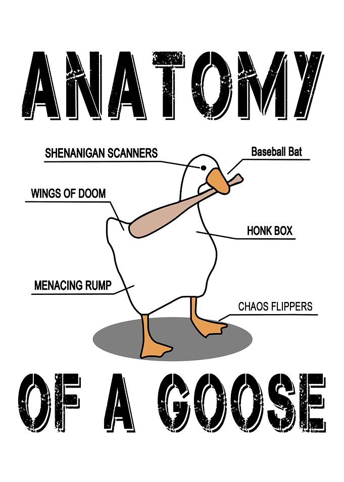 Duck Animal
