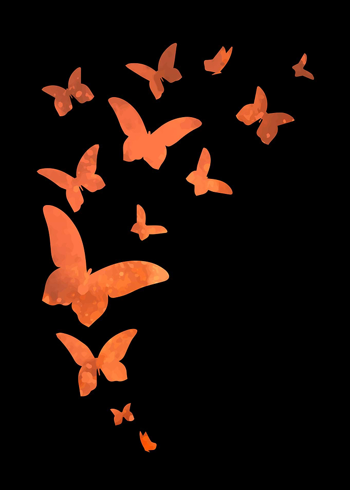 Butterfly Animal