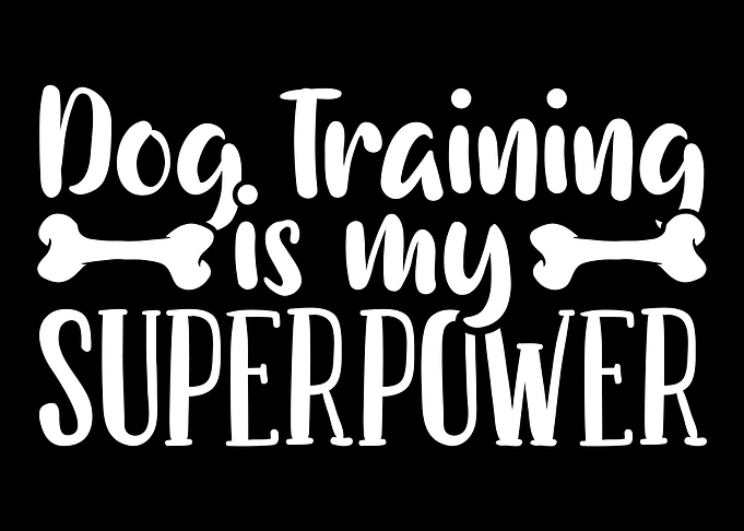 Dog Trainer