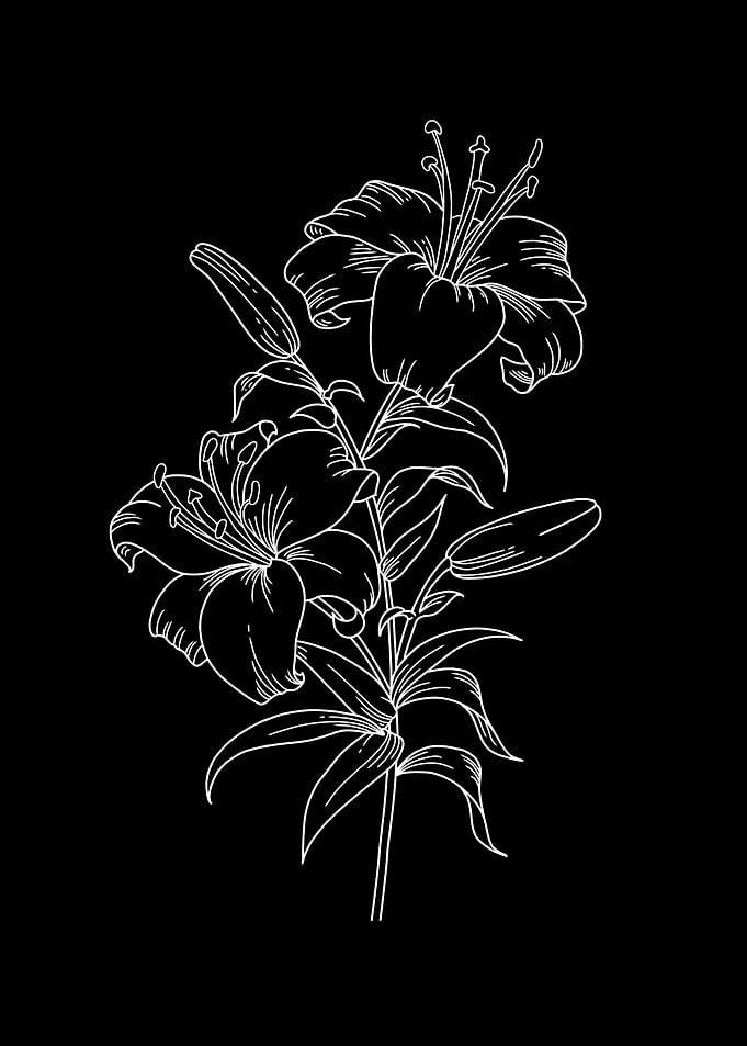 aesthetic flowers