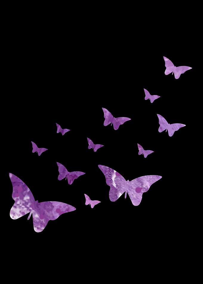 Butterfly Animal