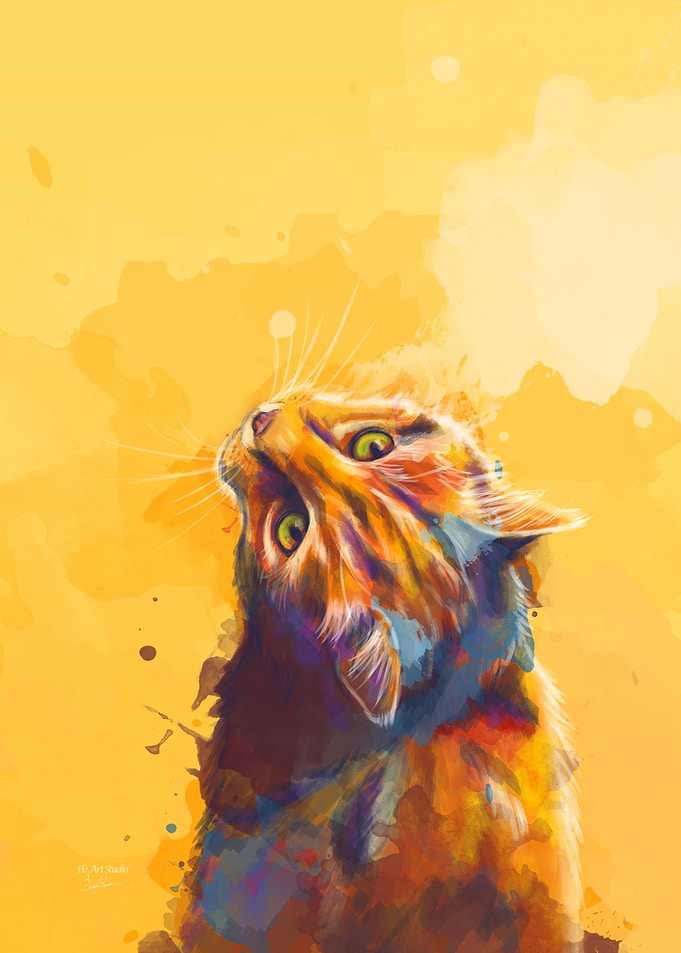 Cat Curiosity
