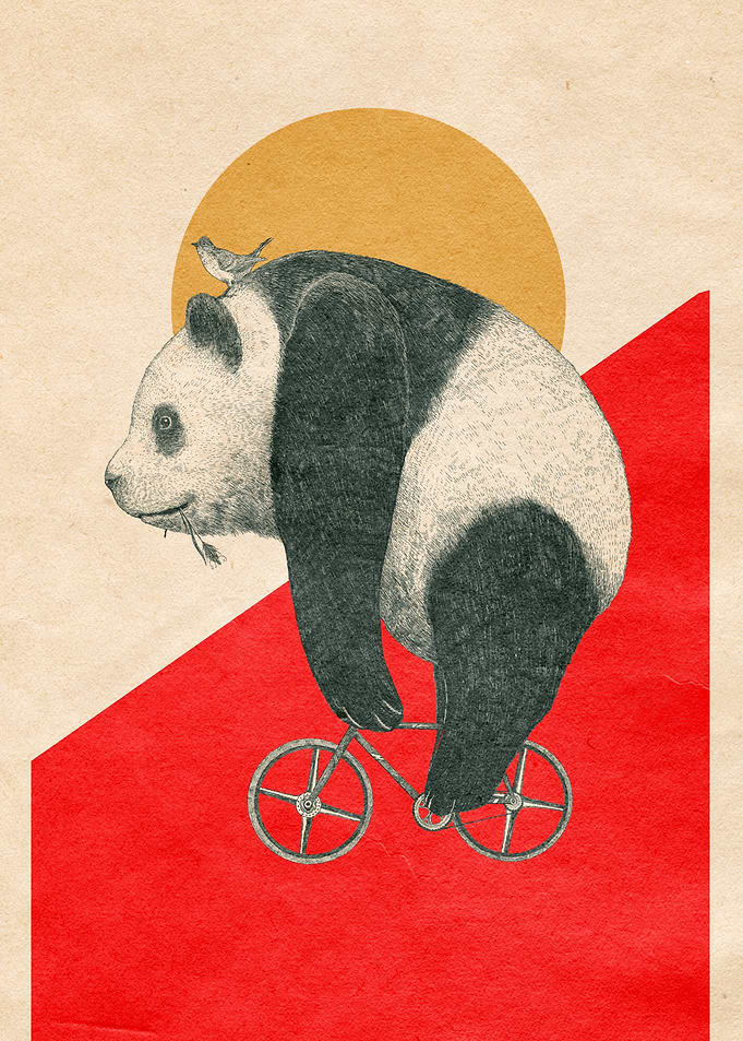Bike and Panda