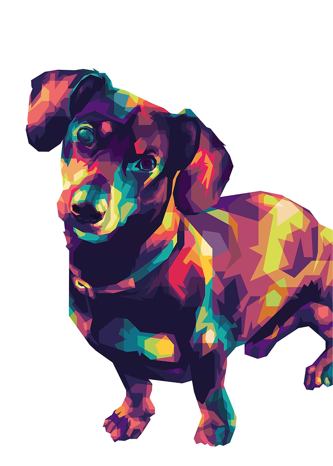 Cute Dog