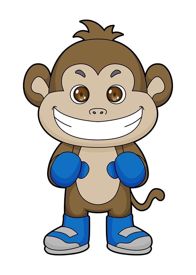 Monkey Boxer Boxing