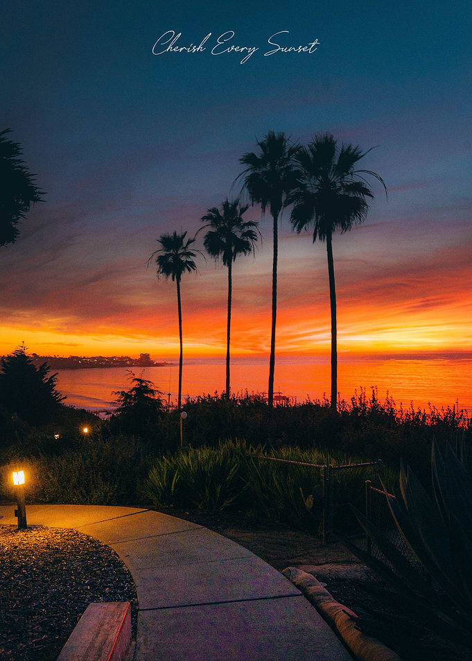 Beautiful Sunset