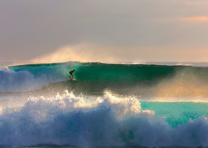 Surfing Galapagos