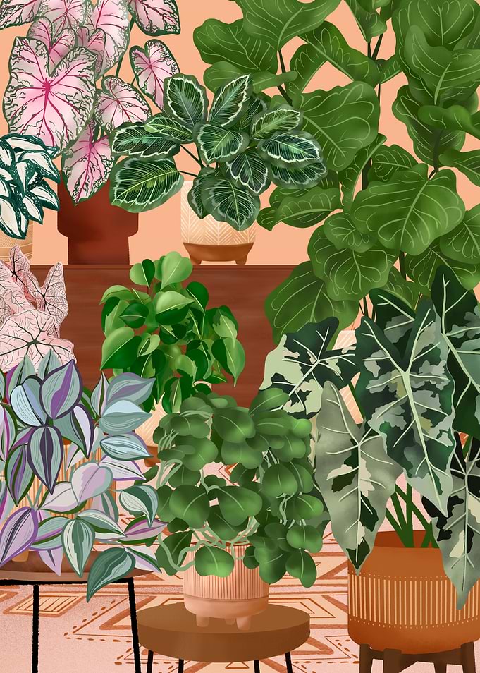 Cozy Plant Room