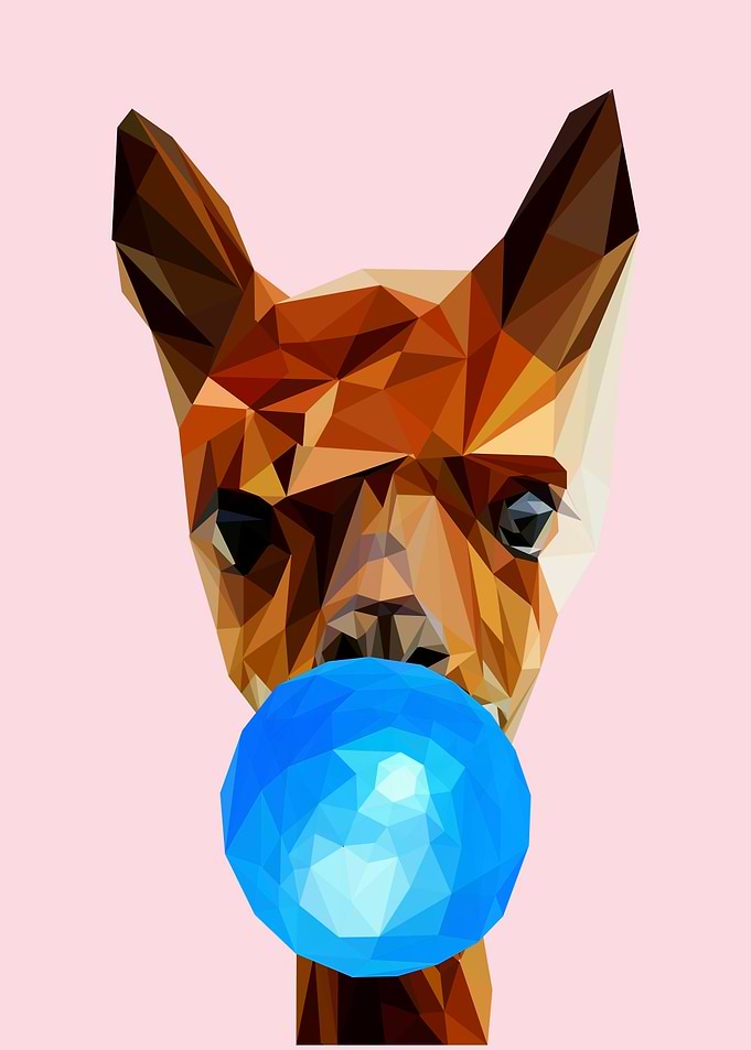 alpaca bubble gum animal