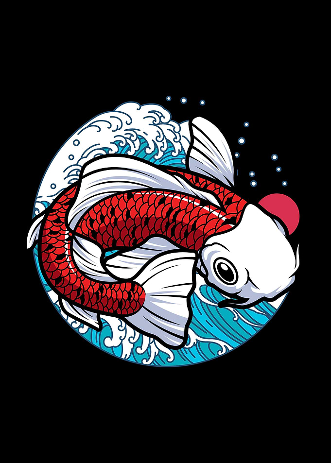 Koi