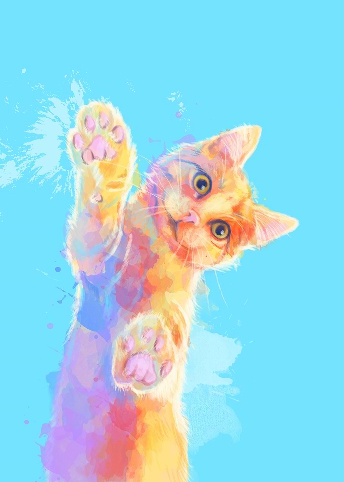 Colorful Curious Kitten