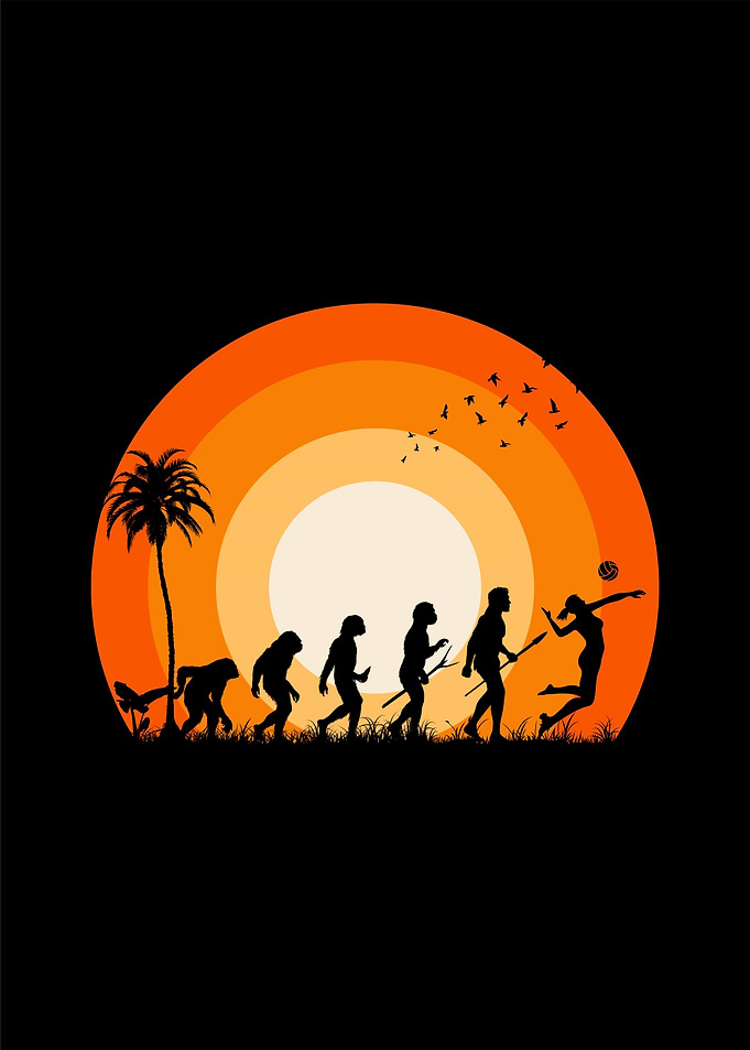 Vollyball evolution