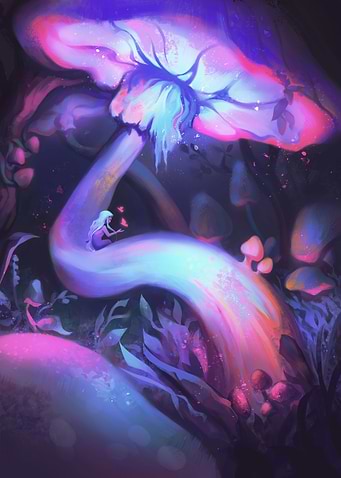 Mushroom Forest