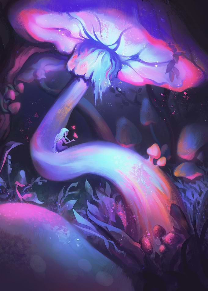 Mushroom Forest