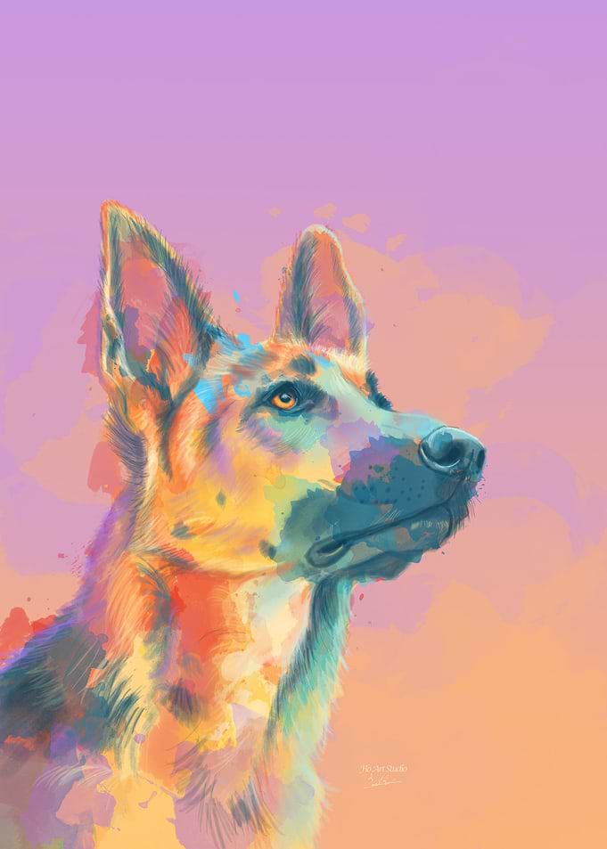 German Shepherd Portrait