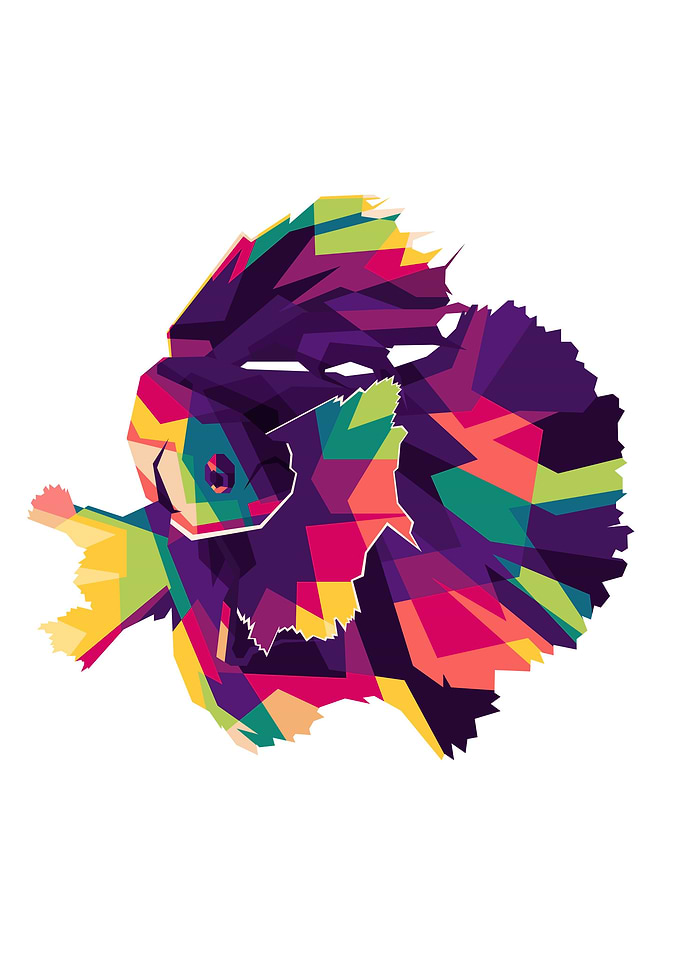 Fish Pop Art