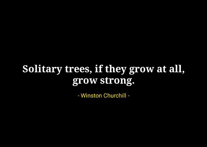 Winston Churchill quotes