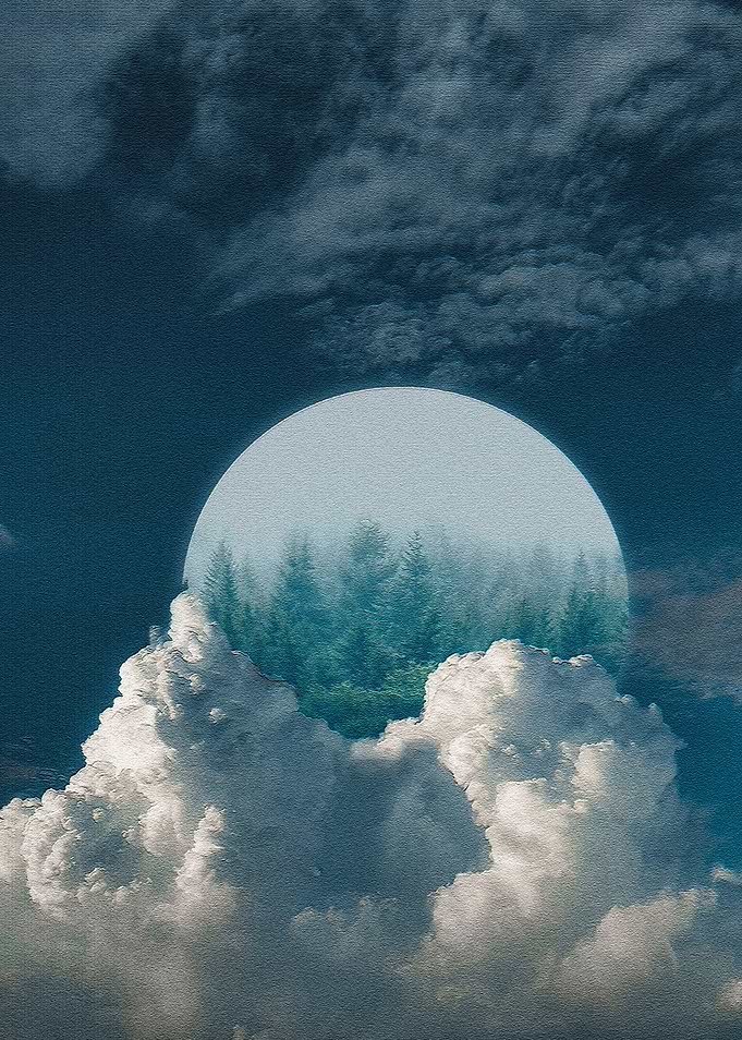 Forest In The Sphere