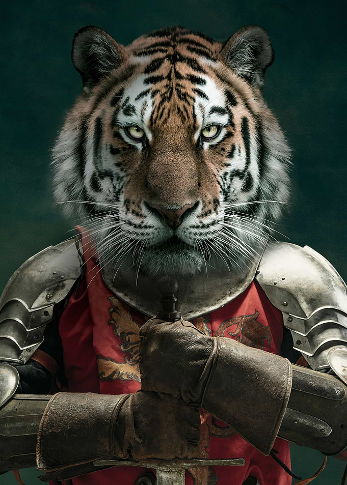 The Tiger Warrior
