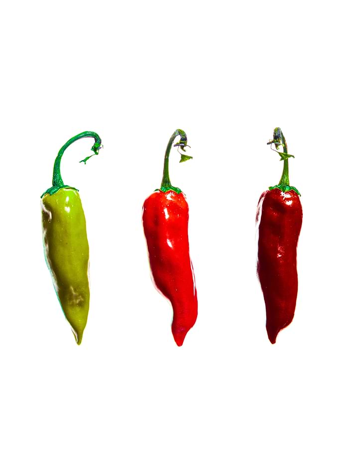 Espelette peppers